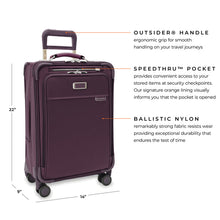 Load image into Gallery viewer, Limited Edition - Briggs &amp; Riley - Baseline - Medium Expandable Spinner
